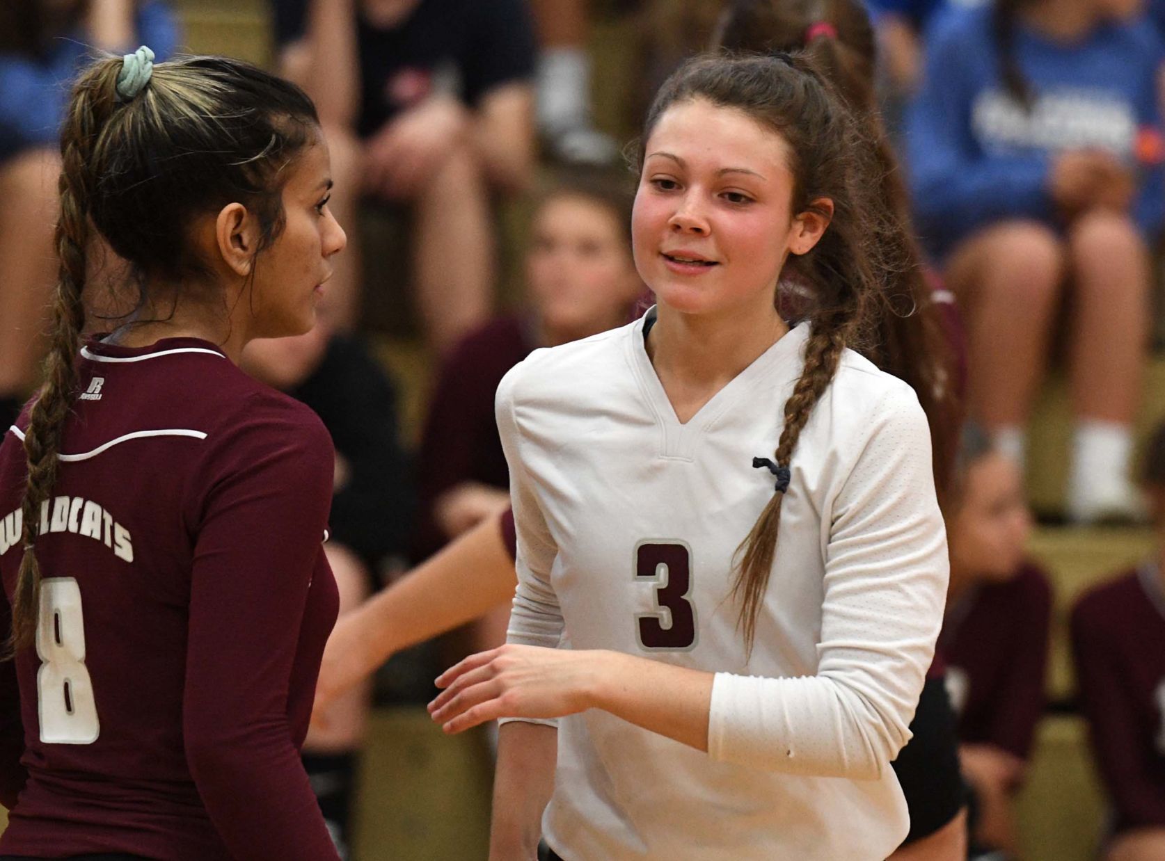 Mechanicsburg Lower Dauphin Volleyball 6